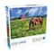 Assorted Country Life 1,000 Piece Puzzle